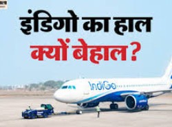 Indigo Crisis: 'संकट की कई वजहें, फिलहाल कोई सटीक कारण नहीं बता सकते', इंडिगो के सीईओ-सीओओ का डीजीसीए को जवाब